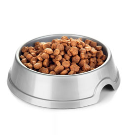 Plant-Based Dog Food