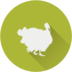 Turkeys